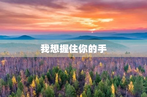 我想握住你的手