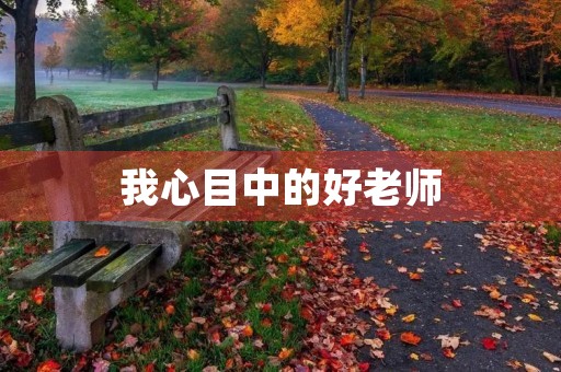 我心目中的好老师 我心目中的好老师