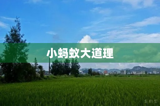 小蚂蚁大道理
