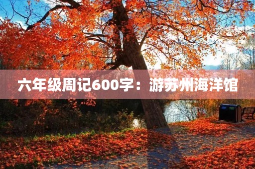 六年级周记600字：游苏州海洋馆
