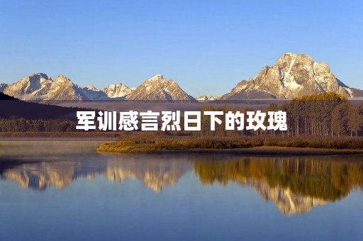 军训感言烈日下的玫瑰 军训感言烈日下的玫瑰