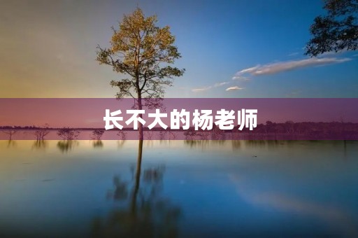长不大的杨老师 长不大的杨老师