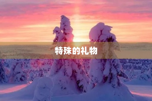 特殊的礼物 特殊的礼物