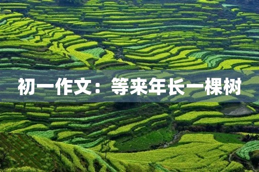 初一作文：等来年长一棵树
