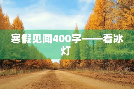 寒假见闻400字——看冰灯 