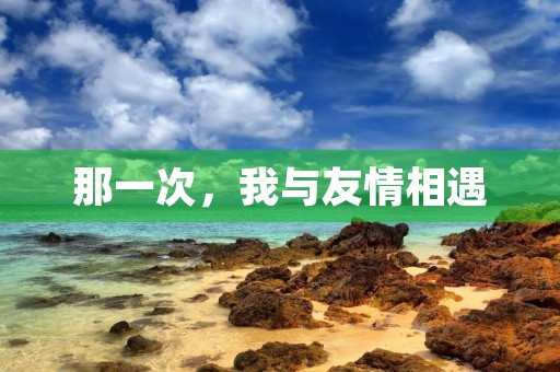 那一次，我与友情相遇