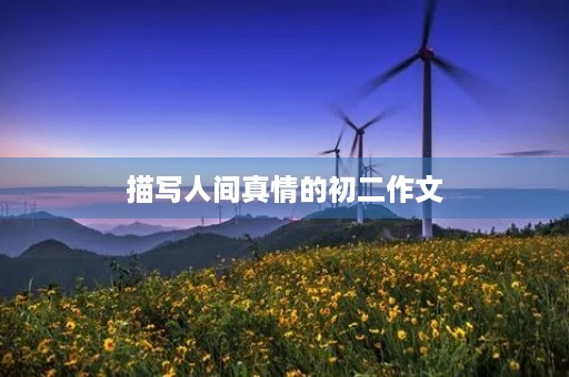 描写人间真情的初二作文 描写人间真情的初二作文