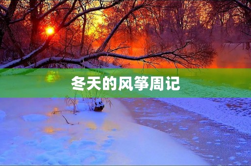 冬天的风筝周记 冬天的风筝周记