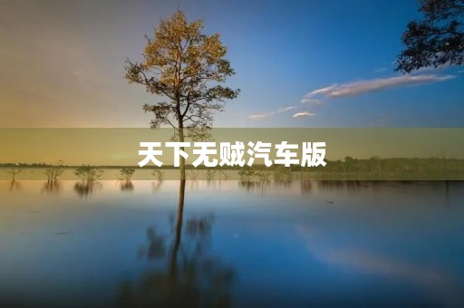 天下无贼汽车版 天下无贼汽车版
