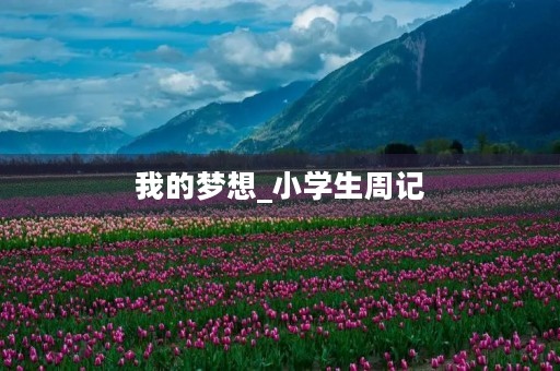 我的梦想_小学生周记 我的梦想_小学生周记