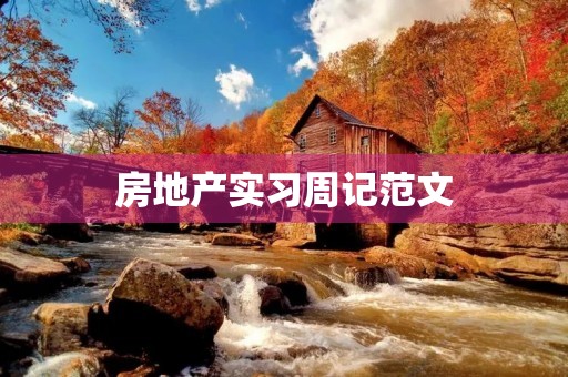 房地产实习周记范文