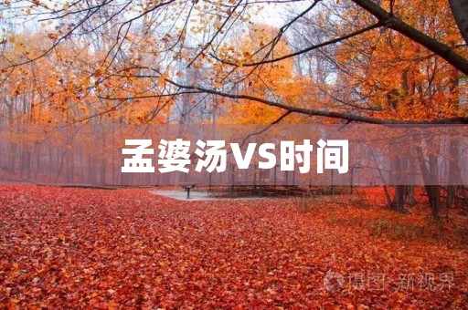 孟婆汤VS时间