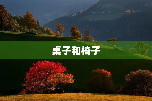 桌子和椅子