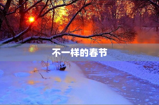 不一样的春节
