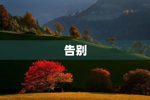 告别 告别