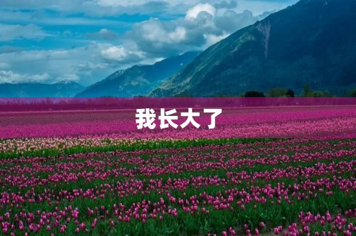 我长大了