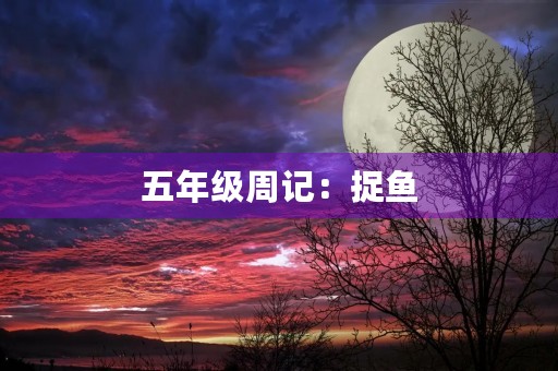 五年级周记：捉鱼