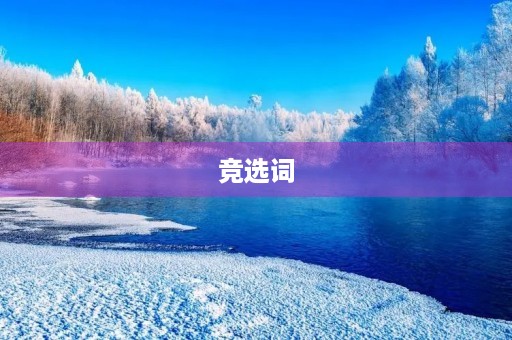 竞选词