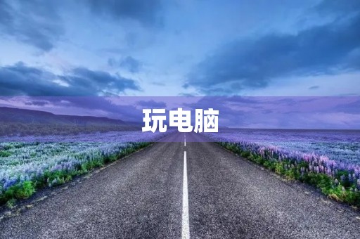 玩电脑 玩电脑