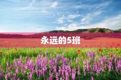 永远的5班