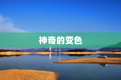 神奇的变色 神奇的变色