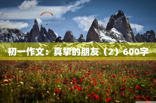 初一作文:真挚的朋友(2)600字 初一作文:真挚的朋友(2)600字