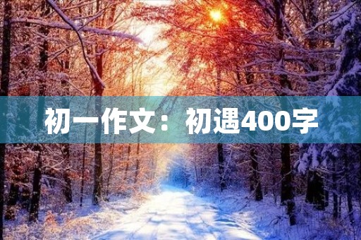 初一作文:初遇400字 初一作文:初遇400字