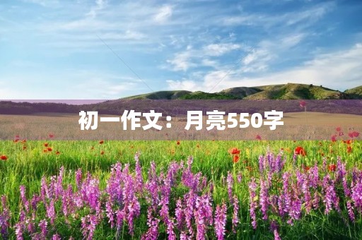 初一作文：月亮550字