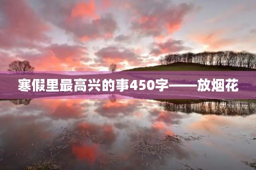 寒假里最高兴的事450字——放烟花 寒假里最高兴的事450字——放烟花