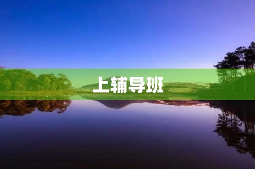 上辅导班 上辅导班