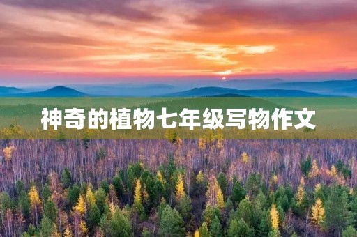 神奇的植物七年级写物作文 神奇的植物七年级写物作文
