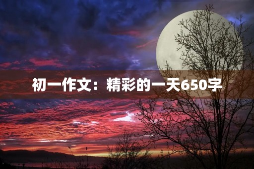 初一作文：精彩的一天650字