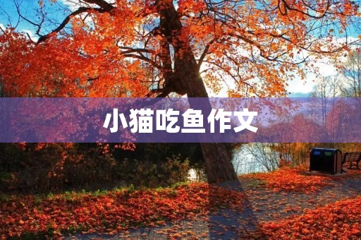 小猫吃鱼作文