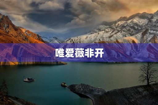 唯爱薇非开