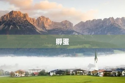 孵蛋 孵蛋