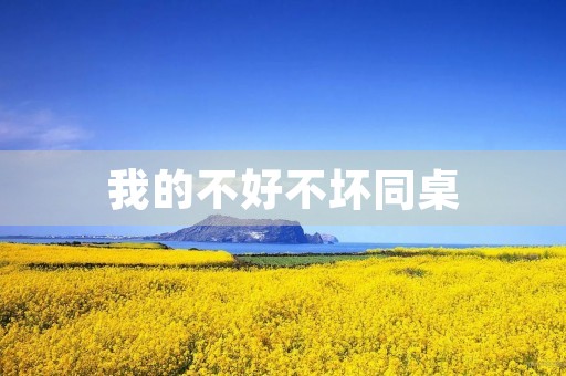 我的不好不坏同桌 我的不好不坏同桌