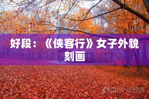 好段:《侠客行》女子外貌刻画 好段:《侠客行》女子外貌刻画
