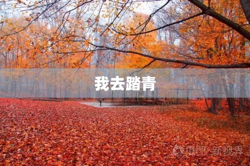 我去踏青 我去踏青