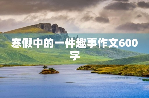 寒假中的一件趣事作文600字