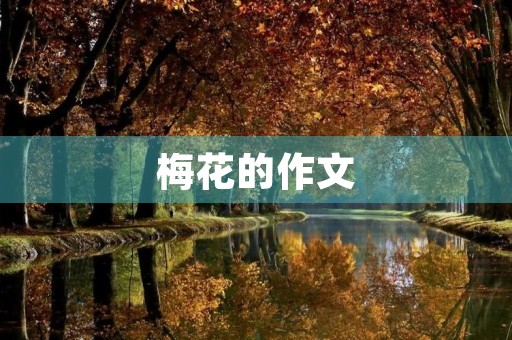 梅花的作文 梅花的作文