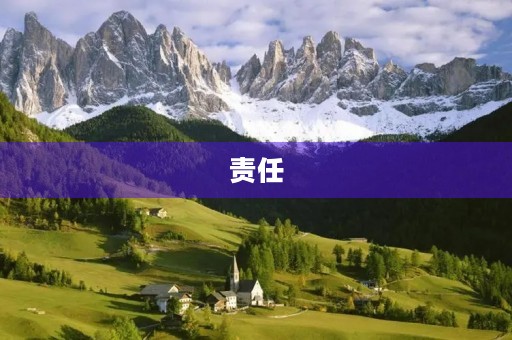 责任 责任
