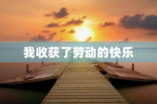 我收获了劳动的快乐 我收获了劳动的快乐