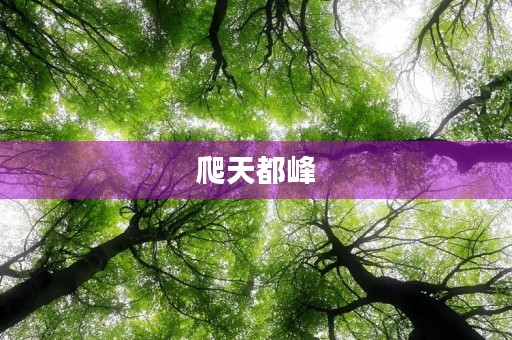 爬天都峰 爬天都峰