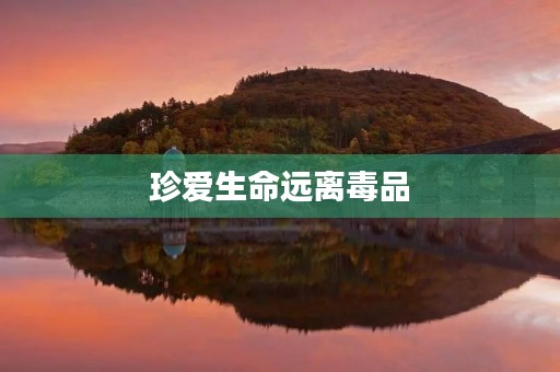 珍爱生命远离毒品