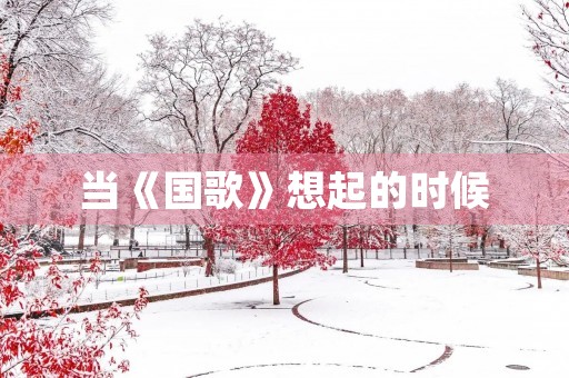 当《国歌》想起的时候