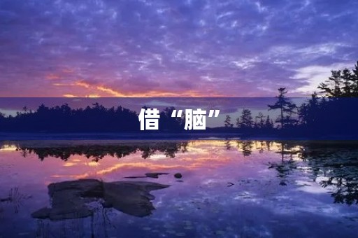 借“脑” 借“脑”
