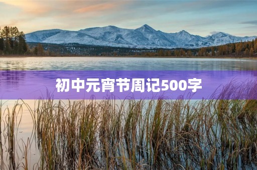 初中元宵节周记500字