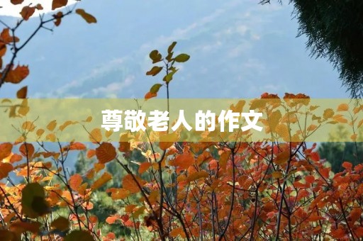 尊敬老人的作文 尊敬老人的作文