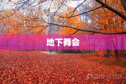 地下舞会 地下舞会