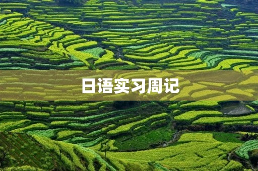 日语实习周记 日语实习周记
